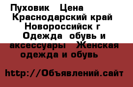 Пуховик › Цена ­ 1 500 - Краснодарский край, Новороссийск г. Одежда, обувь и аксессуары » Женская одежда и обувь   